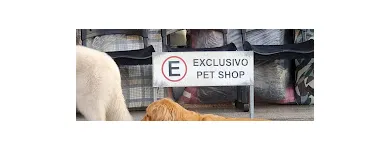 Imagem 2 da empresa BICHOS & CAPRICHOS PET SHOP Pet Shop em Curitiba PR