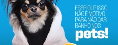 Imagem 3 da empresa NARDINE PET SHOP - LOJA 01 - NOVOS ESTADOS Pet Shop em Campo Grande MS