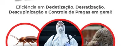 Imagem 1 da empresa ALÔ DD - DEDETIZAÇÃO EM CURITIBA Empresa de Dedetização em Curitiba PR