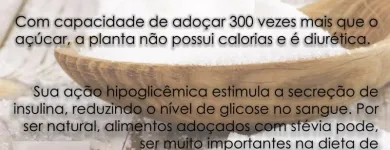 Imagem 2 da empresa CACALIA COMERCIAL LTDA. Produtos Sem Lactose em Estância Velha RS