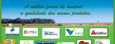 Imagem 7 da empresa GRAMA Plantas em Belém PA