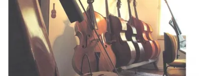 Imagem 3 da empresa ATELIER DE LUTERIA PAULO GOMES violoncelo em São Paulo SP