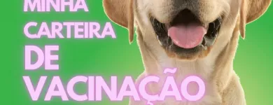 Imagem 5 da empresa PET SHOP COM TOUR Pet Shop em Londrina PR