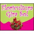 FLORICULTURA GIRA SOL Floriculturas em São Leopoldo RS