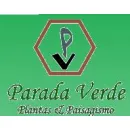 PARADA VERDE PLANTAS & PAISAGISMO LTDA Flores em Bebedouro SP