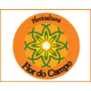 FLOR DO CAMPO FLORICULTURA Floriculturas em Itabaiana SE