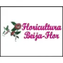 FLORICULTURA BEIJA-FLOR Floriculturas em Manaus AM