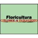 FLORICULTURA GIRASSOL & PAISAGISMO Floriculturas em Belém PA