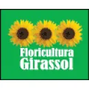 FLORICULTURA GIRASSOL Floriculturas em Serra ES
