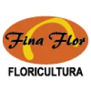 FLORICULTURA FINA FLOR Floriculturas em Londrina PR