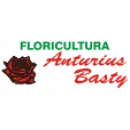 FLORICULTURA ANTURIUS BASTY Floriculturas em Arapiraca AL
