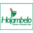 HOLAMBELO FLORES E PLANTAS Floriculturas em Cuiabá MT
