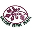 CALUSNE FARMS BRAZIL Produtos Alimentícios em Campinas SP