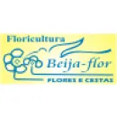 FLORICULTURA BEIJA FLOR Floriculturas em Gravataí RS
