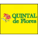 QUINTAL DE FLORES Floriculturas em Teresina PI