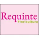 REQUINTE FLORICULTURA Floriculturas em Fortaleza CE