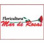 FLORICULTURA MAR DE ROSAS