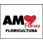 AMO FLORES FLORICULTURA