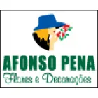 AFONSO PENA FLORES DECORAÇÕES