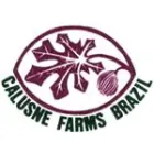 CALUSNE FARMS BRAZIL