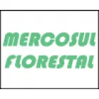 MERCOSUL FLORESTAL