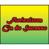 FLORICULTURA CIA DO SUCESSO Floriculturas em Jaboatão Dos Guararapes PE