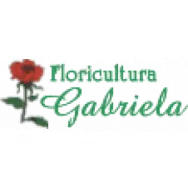 FLORICULTURA GABRIELA Floriculturas em Foz Do Iguaçu PR