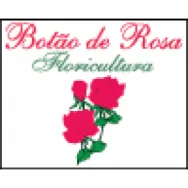 BOTÃO DE ROSA FLORICULTURA Floriculturas em Guarulhos SP