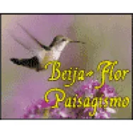 BEIJA-FLOR PAISAGISMO Floriculturas em Santa Barbara D'oeste SP