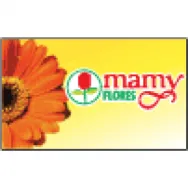 MAMY FLORES Floriculturas em Mogi Das Cruzes SP