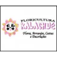FLORICULTURA KALACHUE Floriculturas em Canoas RS