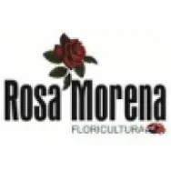 FLORICULTURA ROSA MORENA Floriculturas em Cruzeiro DF