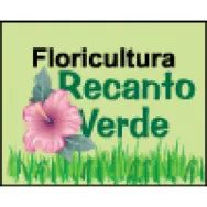 FLORICULTURA RECANTO VERDE Floriculturas em Colíder MT